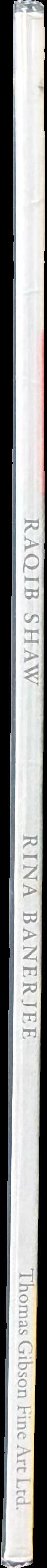 Raqib Shaw / Rina Banerjee spine