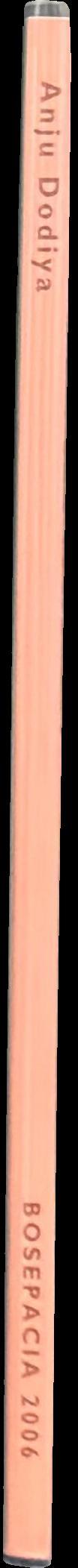 Anju Dodiya spine