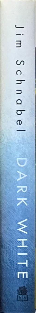 Dark white : aliens, abductions and the UFO obsession / Jim Schnabel spine