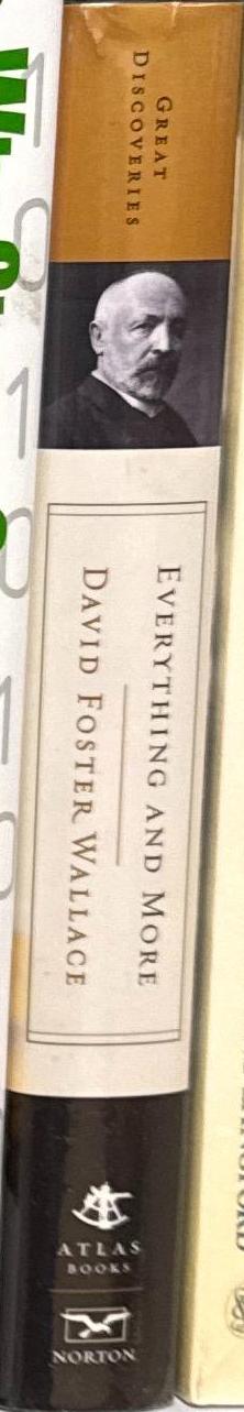 Everything and more : a compact history of ∞ [infinity] / David Foster Wallace spine