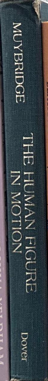 The human figure in motion : introduction by Professor Robert Taft, university of Kansas / Eadweard Muybridge spine