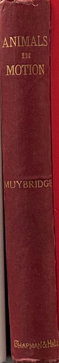 Animals in motion : an electro-photographic investigation of consecutive phases of muscular actions / by Eadweard Muybridge spine