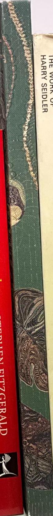 Joshua Yeldham : garden of ruins : paintings, ceramics, photography spine