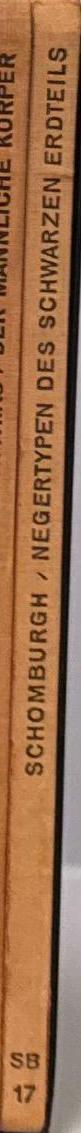 Negertypen des schwarzen Erdteils / 65 Bilder eingeleitet von M. Gehrts-Schomburgk spine