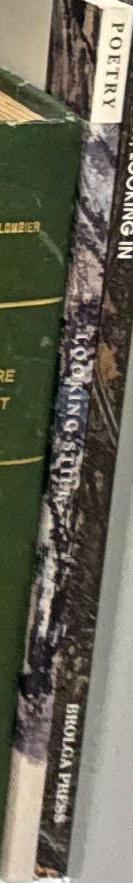 Looking Still : Canberra poets / edited by Ann Nugent ; poems by Merril Cook, Lorne Parker Doyle, Anne Edgeworth, Ken Gardiner, Frank McMahon spine