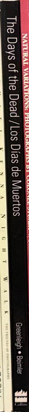 The days of the dead : Mexico's festival of communion with the departed / photographs by John Greenleigh ; text by Rosalind Rosoff Beimler spine