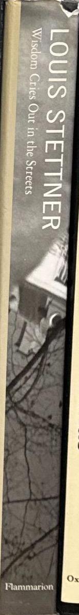 Wisdom cries out in the streets / Louis Stettner spine