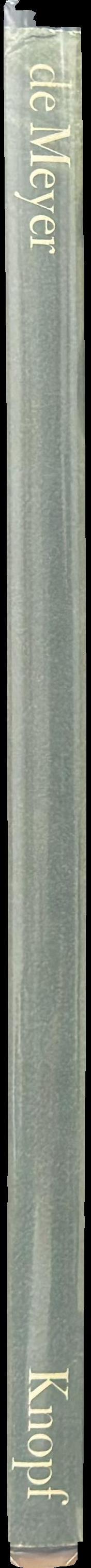 De Meyer spine