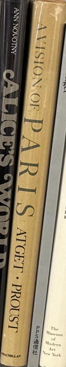 A vision of Paris spine