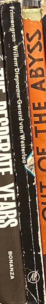 Frimangron Suriname reportages uit een Zuid-Amerikaanse republiek / Willem Diepraam spine