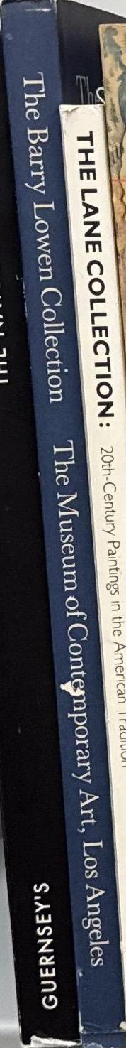 The Barry Lowen collection / essay by Christopher Knight spine