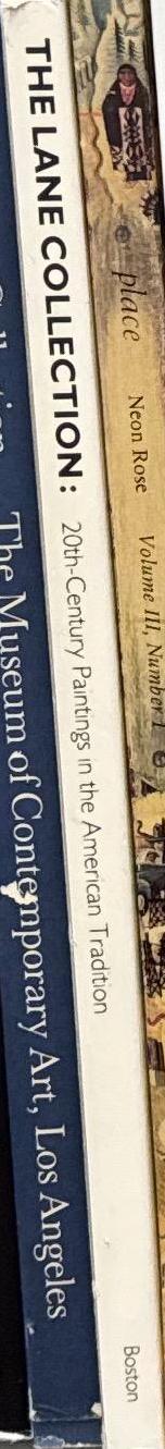 The Lane collection : 20th-century paintings in the American tradition / by Theodore E. Stebbins, Jr., and CArol Troyen spine