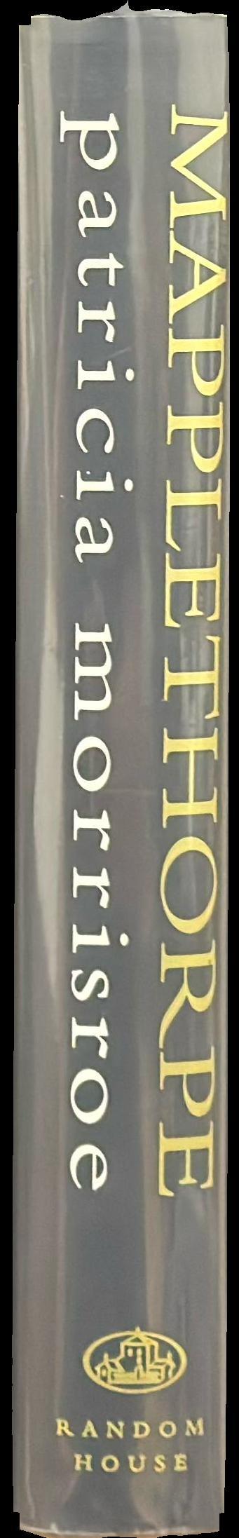 Mapplethorpe : a biography spine