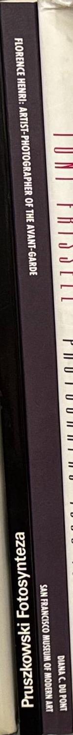 Florence Henri : artist-photographer of the avant-garde / Diana C. du Pont spine