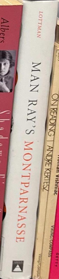 Man Ray's Montparnasse / by Herbert R. Lottman spine