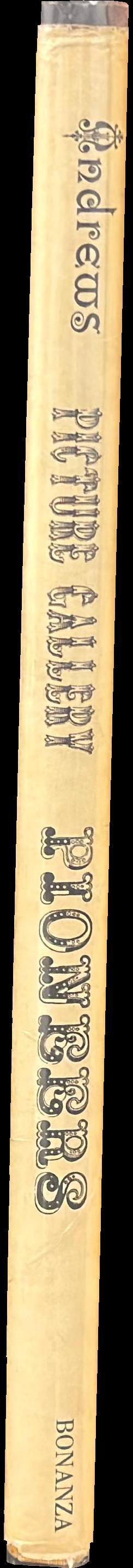 Picture gallery pioneers, 1850 to 1875 spine