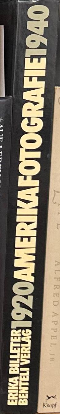 Amerika : fotografie ; 1920-1940 / Erika Billeter spine