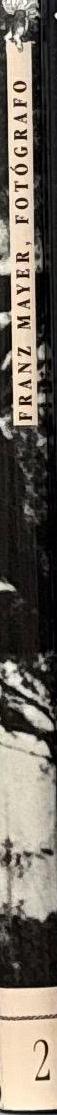 Franz Mayer fotografo spine