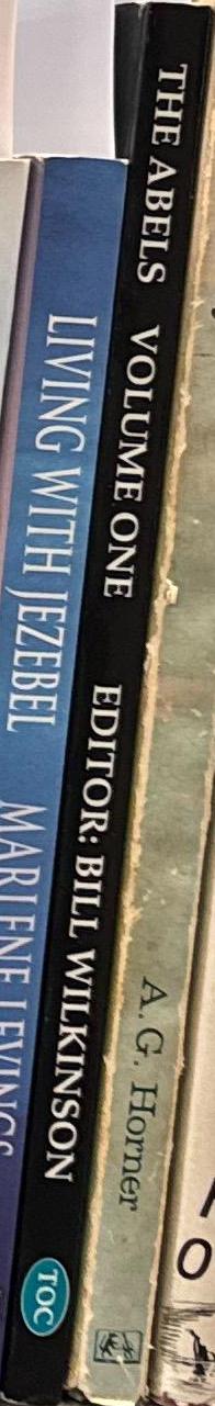 The Abels : a comprehensive guide to Tasmania's mountains over 1100m high ; vol 1 ; sections 1 - 5 / edited by Bill Wilkinson spine