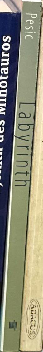 Labyrinth : a search for the hidden meaning of science / Peter Pesic spine