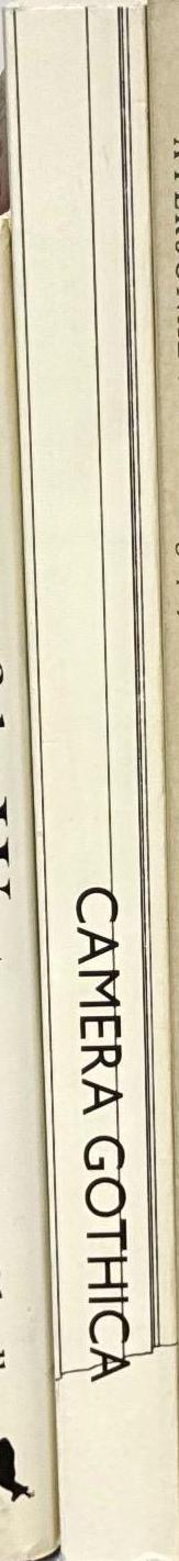 Gothic church architecture in the 19th century European photography = Camera gothica : gothische kerkelijke architectuur in de 19 = Architecture religieuse gothique dans la photographie Européenne du 19e siécle / Andries Pool, Willem Aerts spine