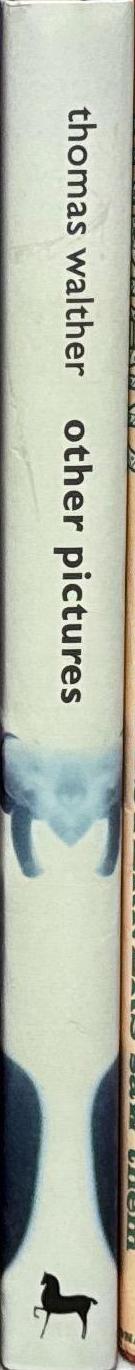 Other pictures : anonymous photographs from the Thomas Walther collection / essay by Mia Fineman spine