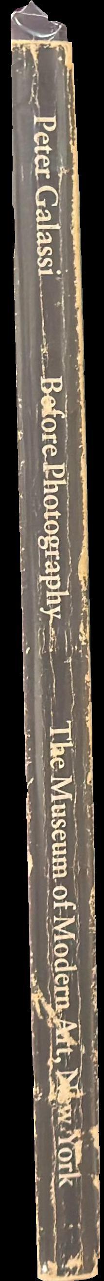 Before photography : painting and the invention of photography spine