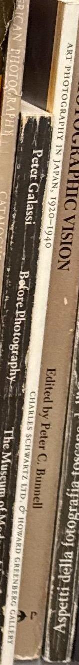 Art photography in Japan, 1920–1940 / foreword Charles Schwartz & Howard Greenberg ; essays Chistian A. Peterson, Kerry Ross ; biographies Naomi Izakura & Torin Boyd spine