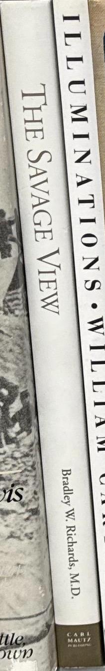 The savage view : Charles Savage, pioneer Mormon photographer / Bradley W. Richards spine