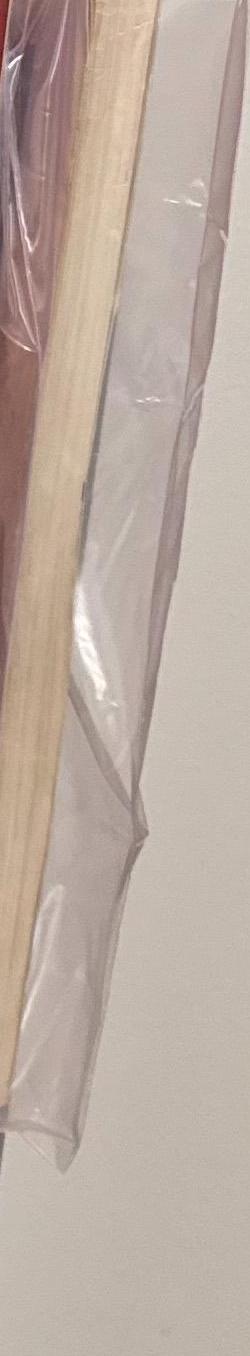 Light and vision : photography of the School of Design in Chicago 1937-1952 / Stephen Daiter Photography spine