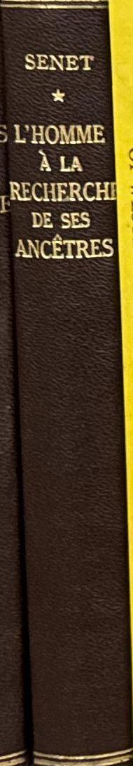 L'homme à la recherche de ses ancêtres : roman de la paléontologie / André Senet spine