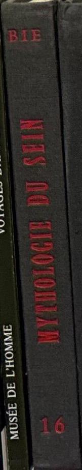 Mythologie du sein / par Romi spine