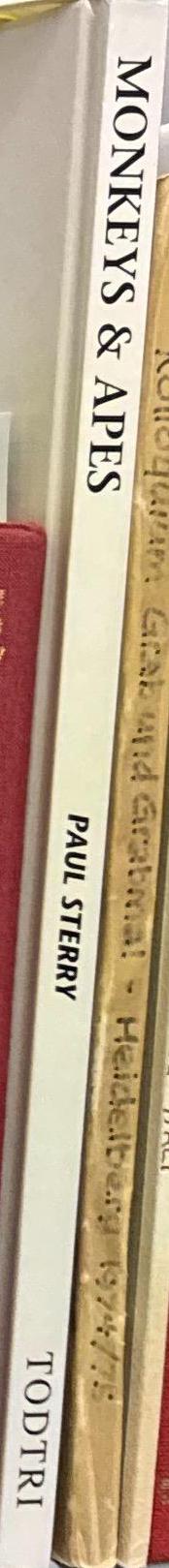 Monkeys & apes : a portrait of the animal world / Paul Sterry spine