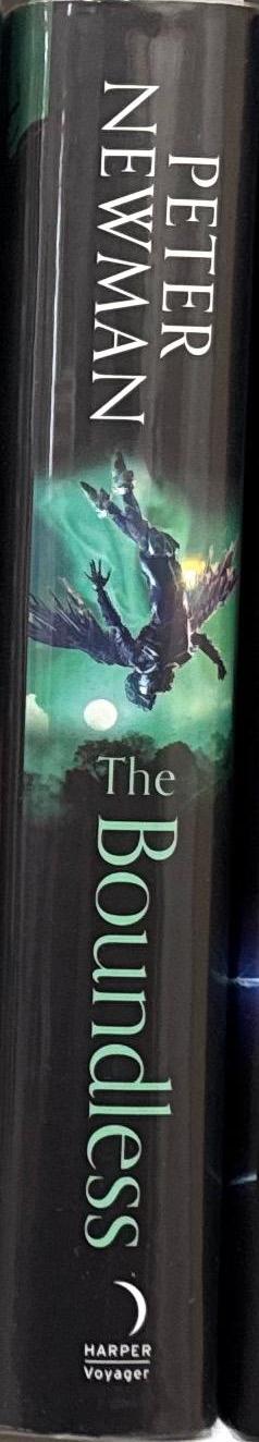 The boundless / Peter Newman spine