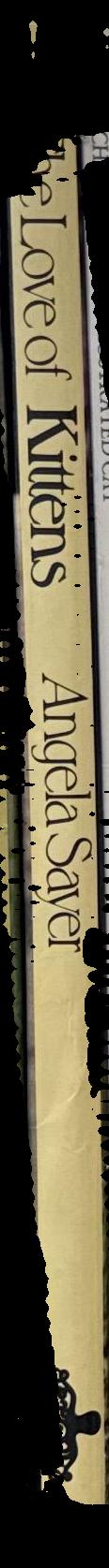The love of kittens / Angela Sayer spine