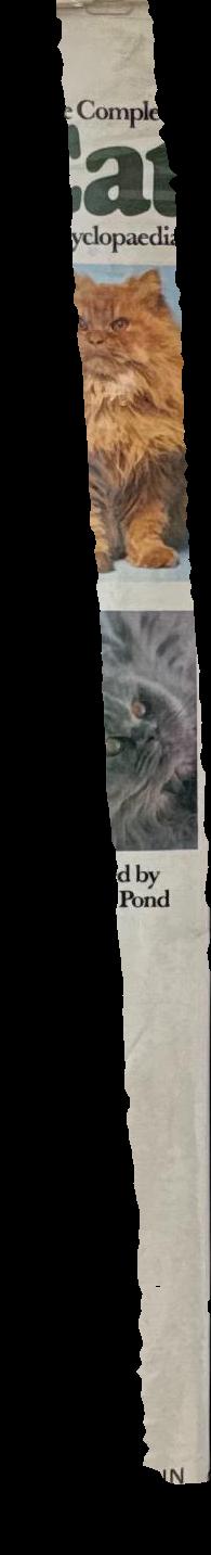 The complete cat encyclopaedia spine