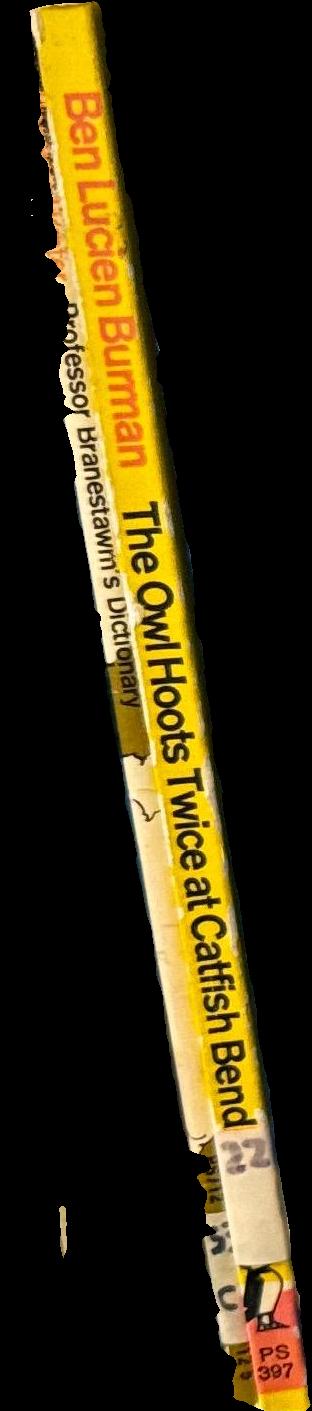 Professor Branestawm's Dictionary / compiled by Norman Hunter ; illustrated by Derek Cousins spine