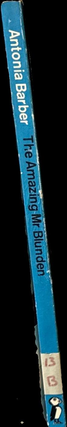 The amazing Mr Blunden / Antonia Barber spine