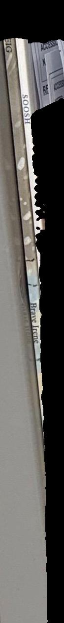 Brave Irene / William Steig spine