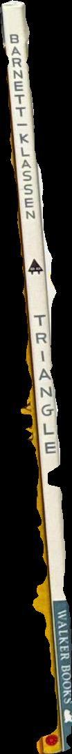 Triangle / by Mac Barnett & Jon Klassen spine