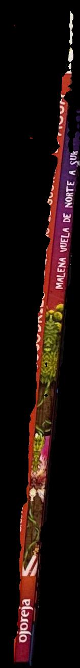 Malena vuela de Norte a Sur / Paula Fernandez ; arte ; Martín Badia spine