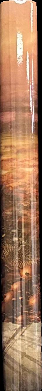 Memory's legion : the complete Expanse story collection / James S. A. Corey spine