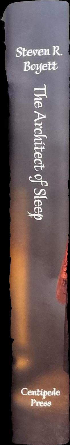 The architect of sleep / Steven R. Boyett ; illustrated by Cristina Bencina spine