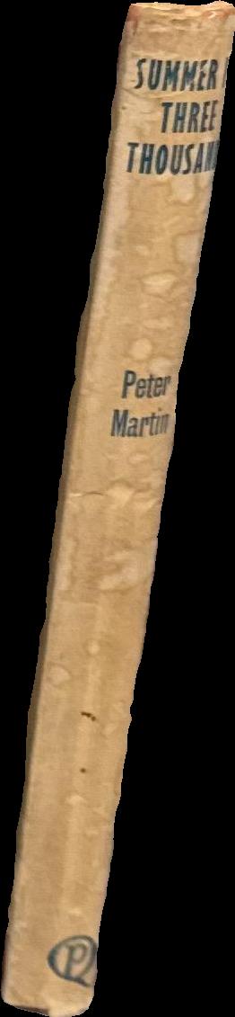 Summer in three thousand : not a prophecy— a parable / Peter Martin spine