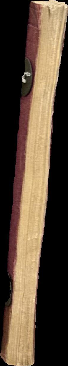 On "Dyss" burial and beliefs about the dead during the stone age, with special regard to south Scandinavia; an archaeological and historico-religious research spine
