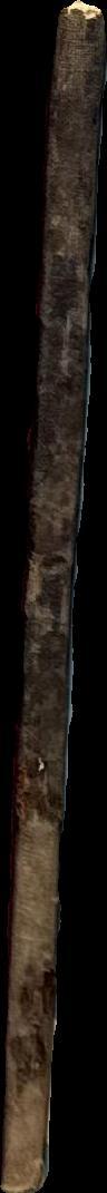 Asian art and Asian books spine