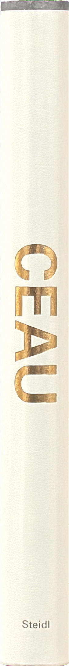Ceau spine