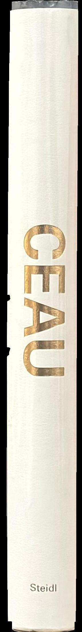 Ceau spine