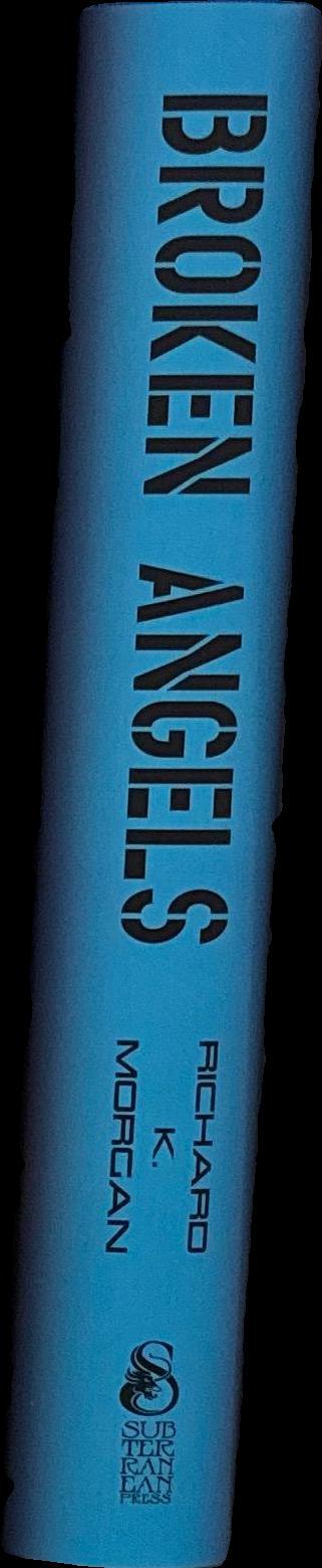 Broken angels / Richard Morgan spine
