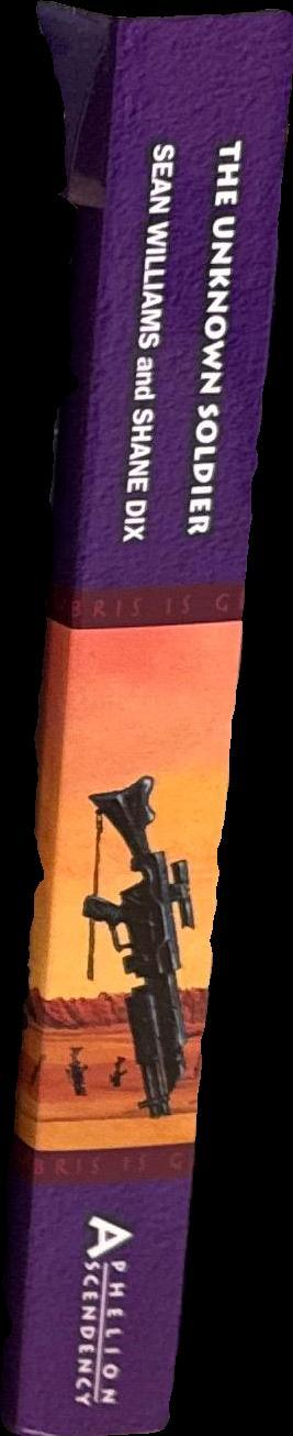 The unknown soldier / Sean Williams and Shane Dix spine